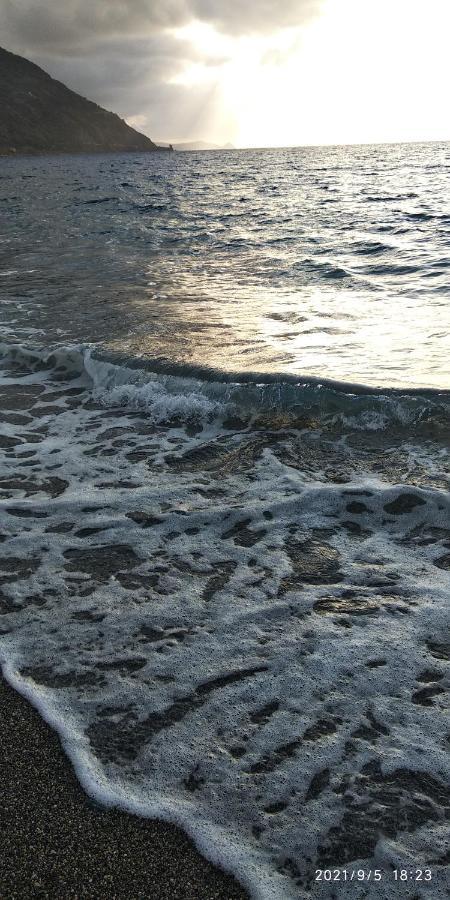 Dimora Tra Cielo E Mare A Gioiosa Marea Eksteriør billede