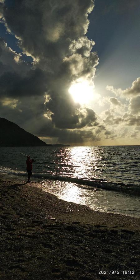 Dimora Tra Cielo E Mare A Gioiosa Marea Eksteriør billede